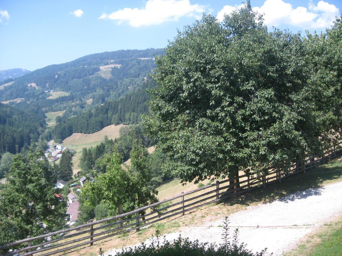 Gerstbreinhof Bed & Breakfast Bad Sankt Leonhard im Lavanttal Exterior photo